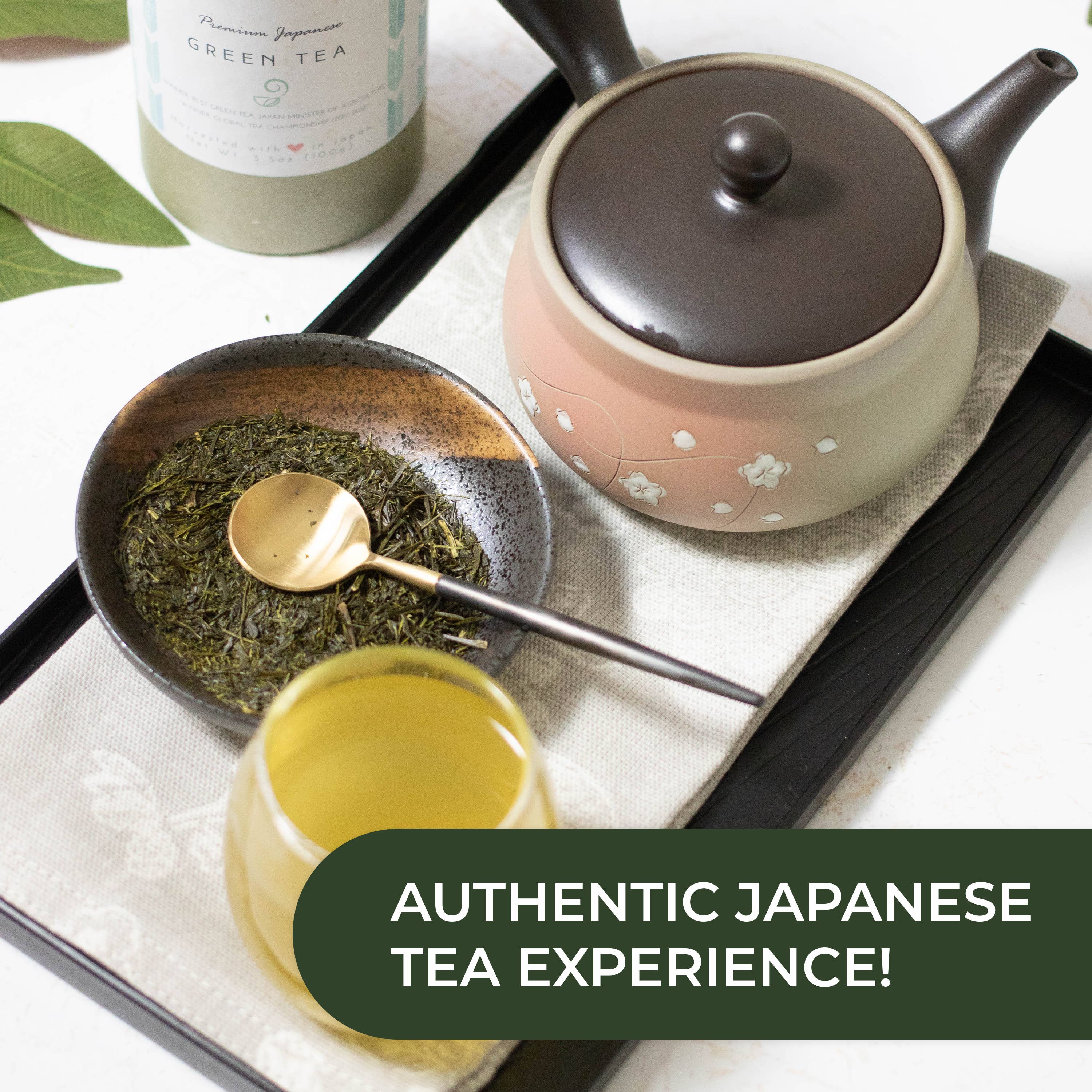 Japanese Green Tea Co. - Vendita all'ingrosso Teiere - Tokoname Yaki Kyusu teiera da 270 cc per tè Fukamushi24