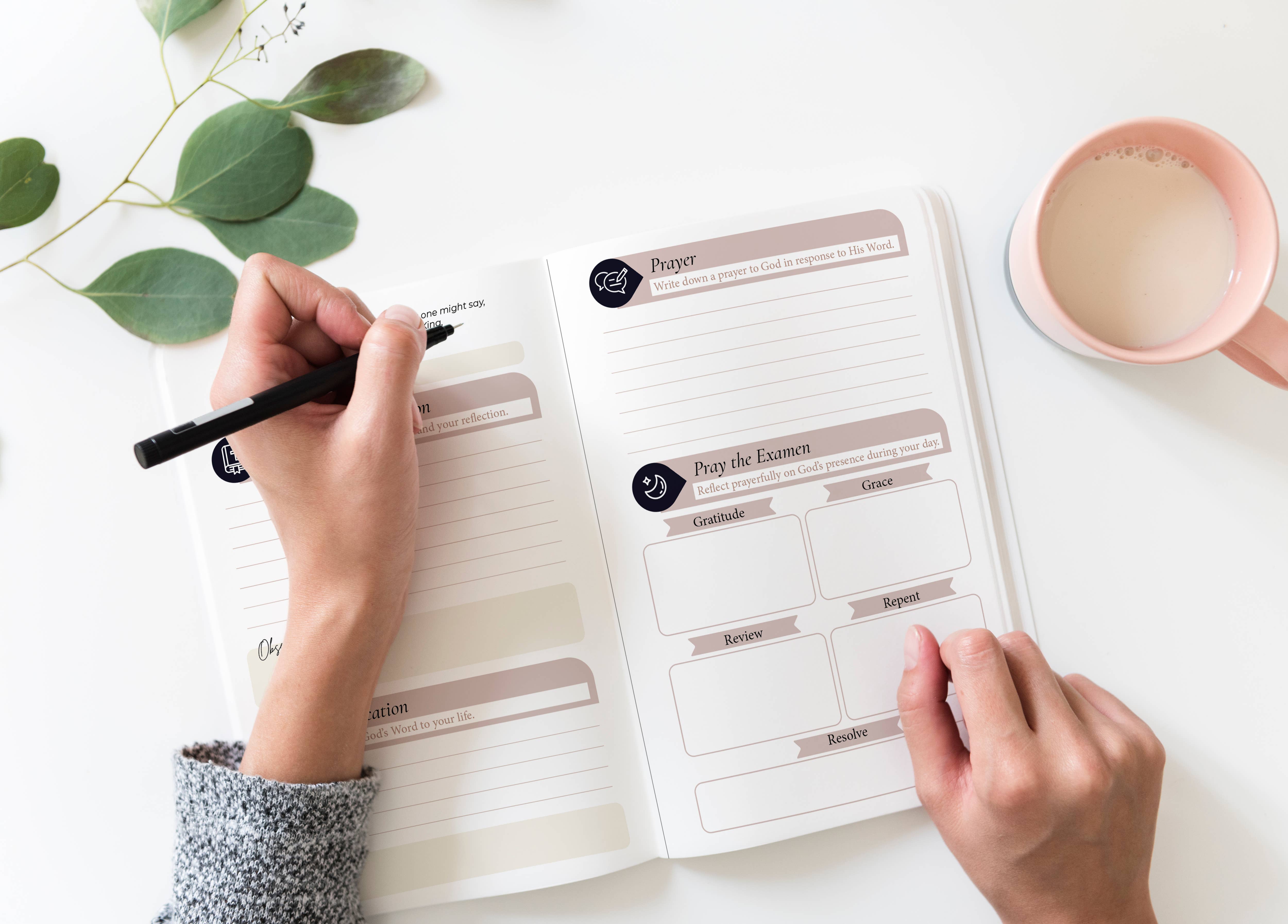 The Stump of Jesse - Wholesale Journal/Diary - Catholic PrayerJournal | Lectio Divina | Examen St. Ignatius12