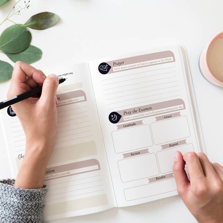 The Stump of Jesse - Wholesale Journal/Diary - Catholic PrayerJournal | Lectio Divina | Examen St. Ignatius12