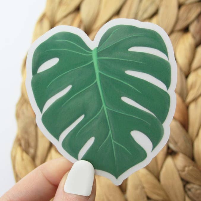 Monstera Leaf Vinyl Sticker for wholesale by paigesillustrations