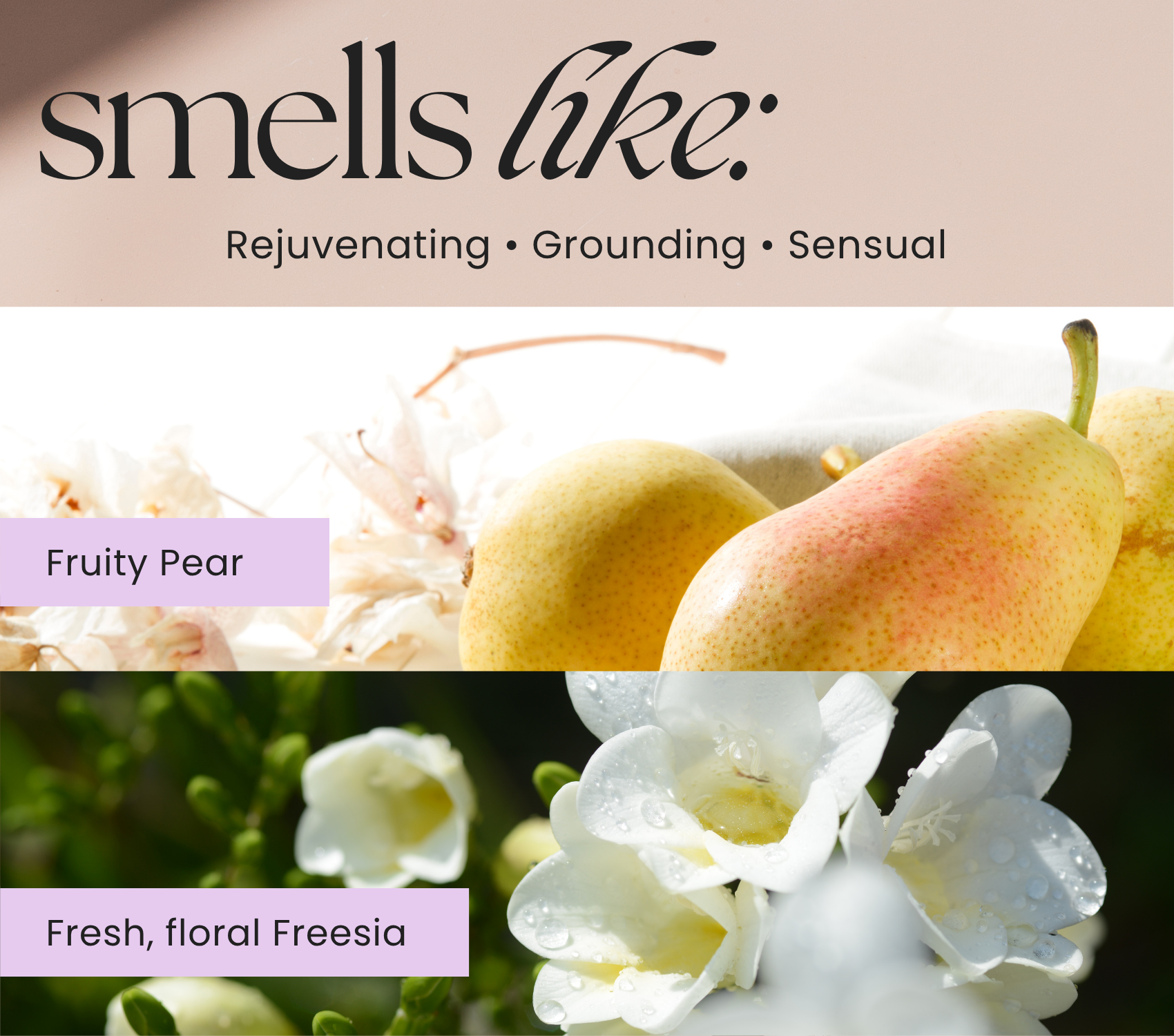 THE MINDFUL COLLECTIVE - Wholesale Jar/Filled Candle - Earth Element Crystal Candle – Taurus, Virgo & Capricorn5