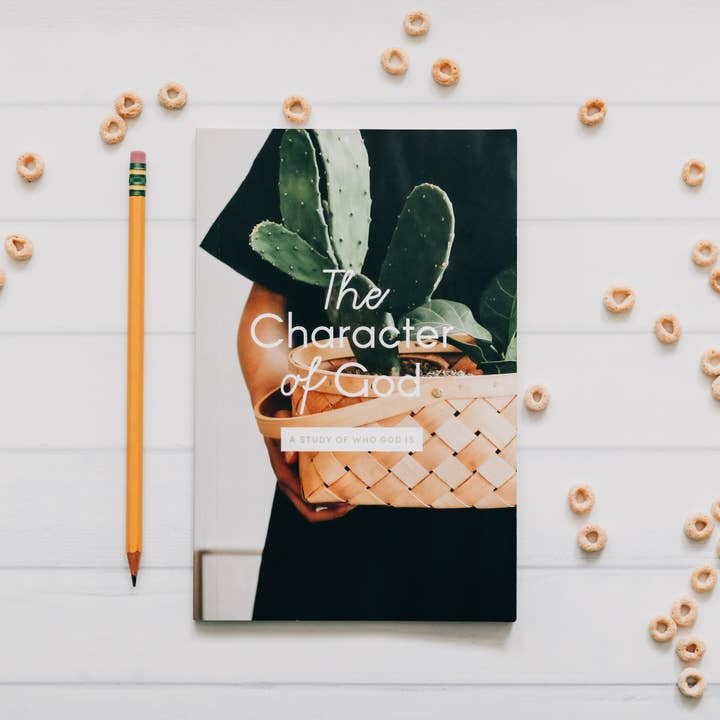 The Character of God - Kids and Family Study for wholesale by The Daily Grace Co