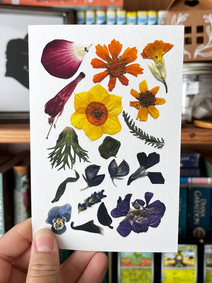 Mini Rainbow Pressed Flower Giclée Art Print for wholesale by Owlhaired Designs