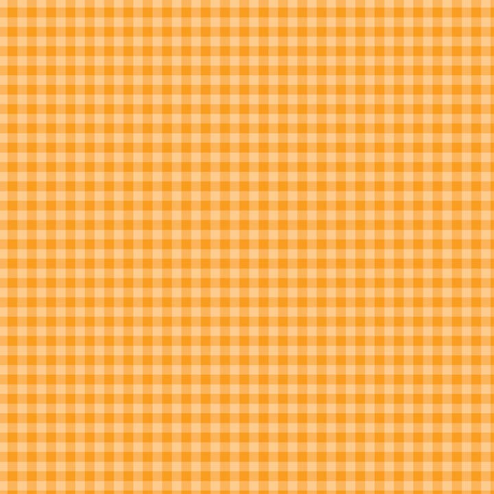 Gingham audacieux : Papier à motifs vichy mandarine 12x12 pour la vente par Echo Park Paper Co.