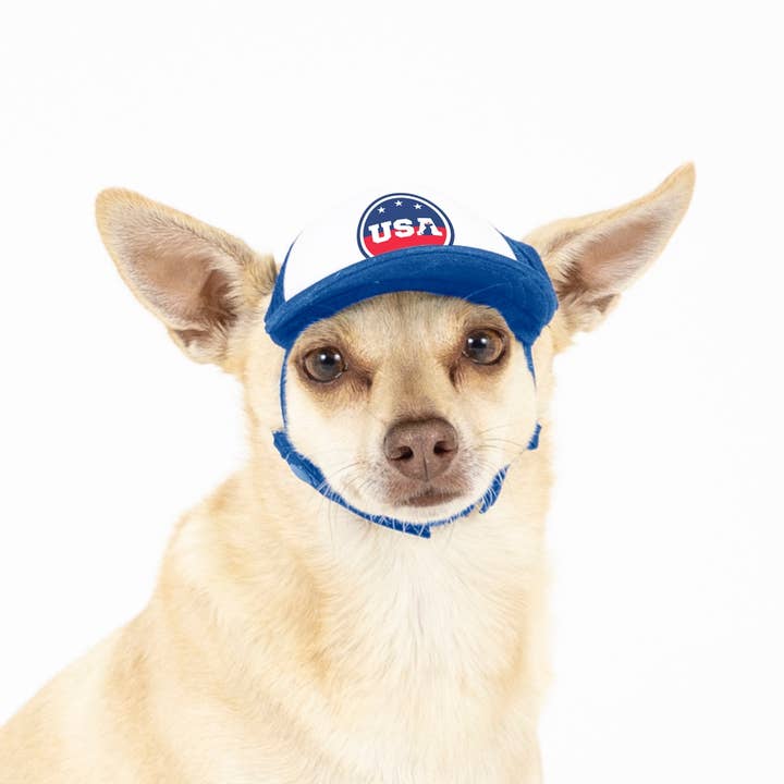 PupLid – wholesale Hatt - Hund – USA Stars Design l Truckerhatt för hundar23