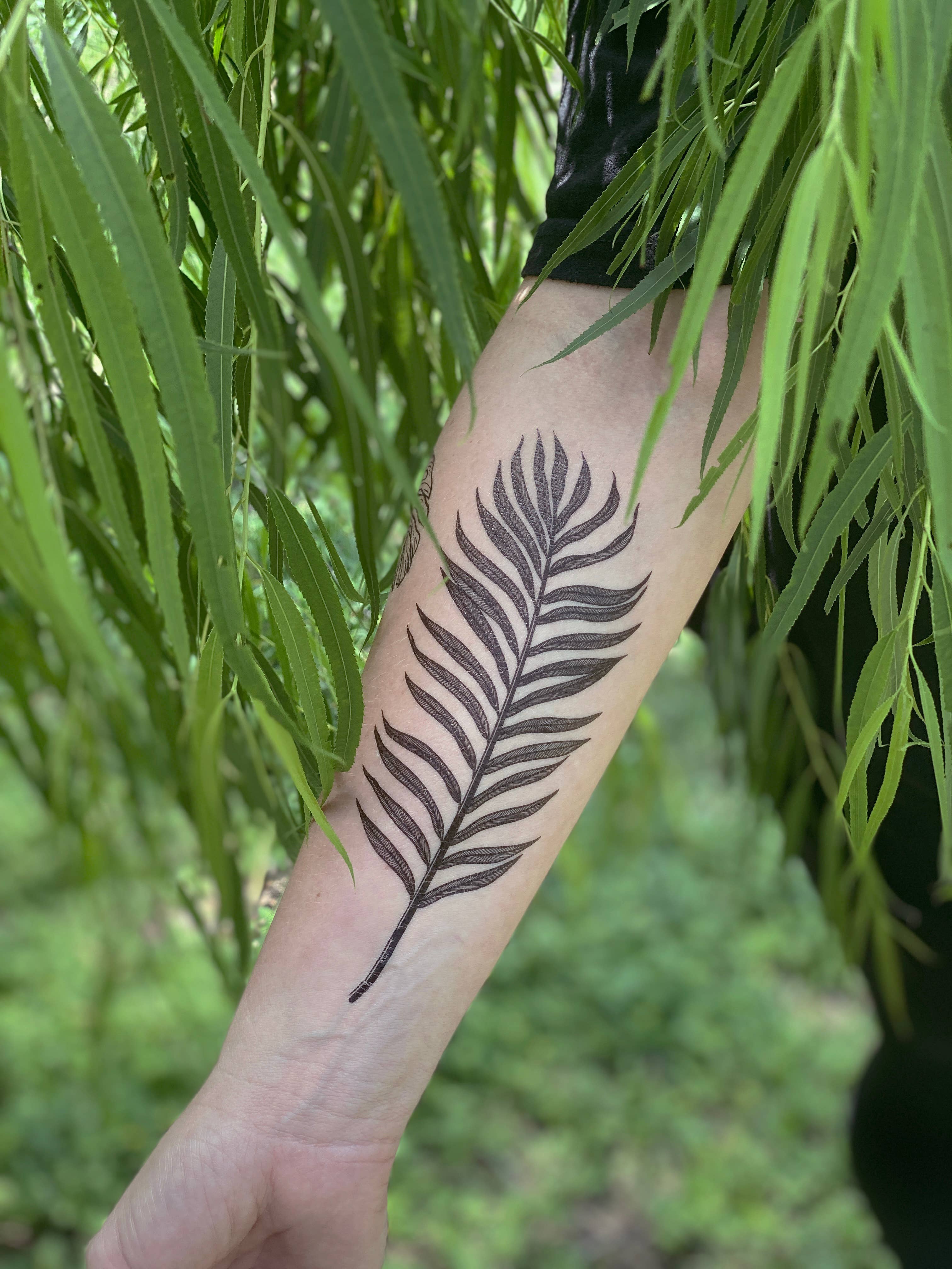 Fern Leaf Tattoo on an Arm · Free Stock Photo
