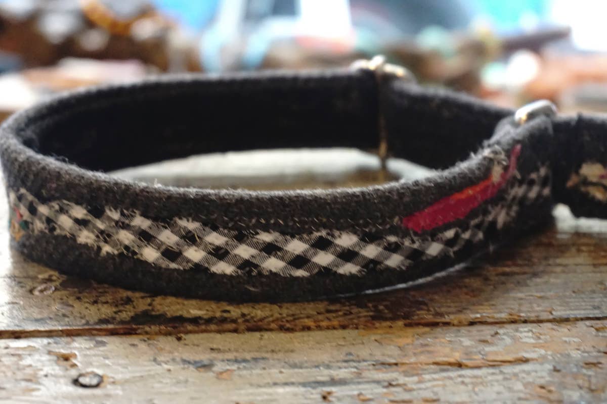 hundsfutter - Wholesale Pet Collar - Dog - necklace21