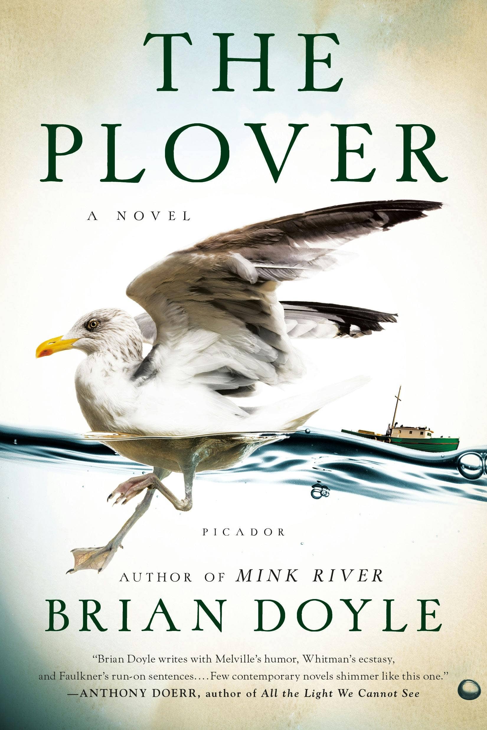Macmillan Publishers - Wholesale Contemporary & Literary Fiction - Plover: A Novel0
