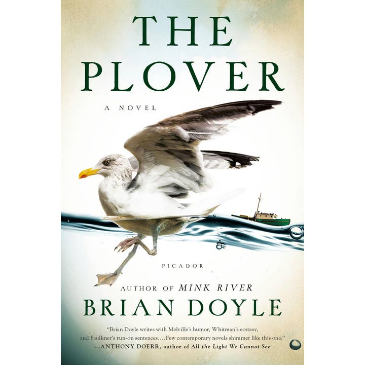 Macmillan Publishers - Wholesale Contemporary & Literary Fiction - Plover: A Novel
