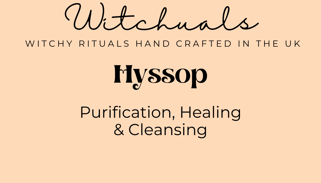 Witchuals - Rituals & Spellwork Apothecary - Wholesale Meditation Supplies - Hyssop3