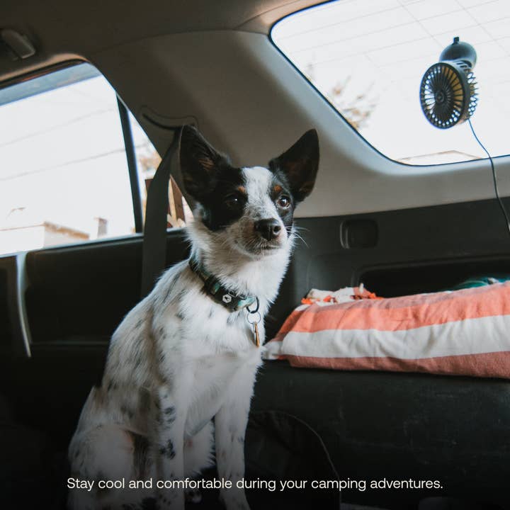 Luno - Venta al por mayor Ventilador eléctrico de mano - Ventilador para acampar en coche5