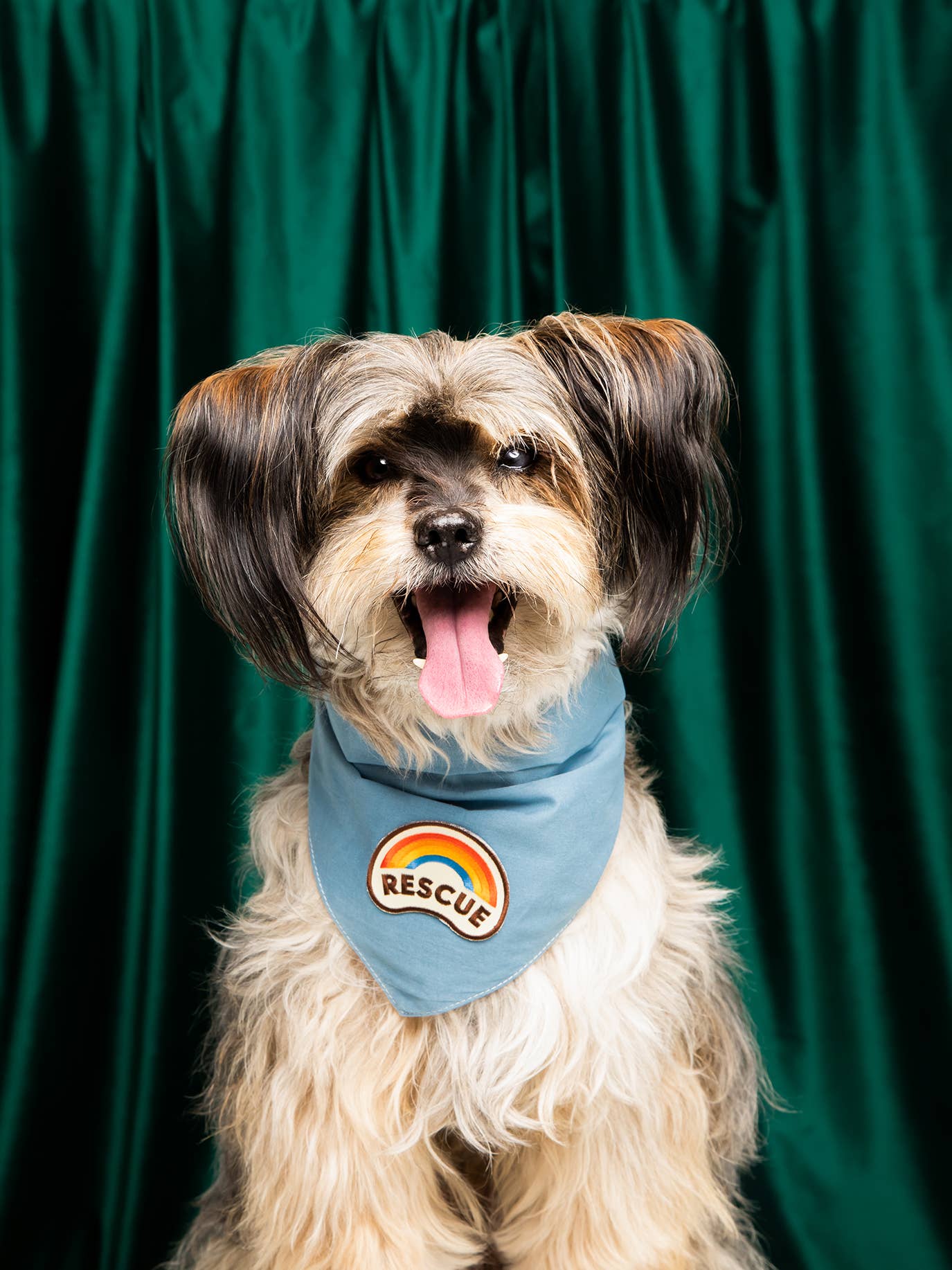 Scout's Honour Pty Ltd - Vendita all'ingrosso Bandana - Cani - Toppa termoadesiva di soccorso per cani e gatti3