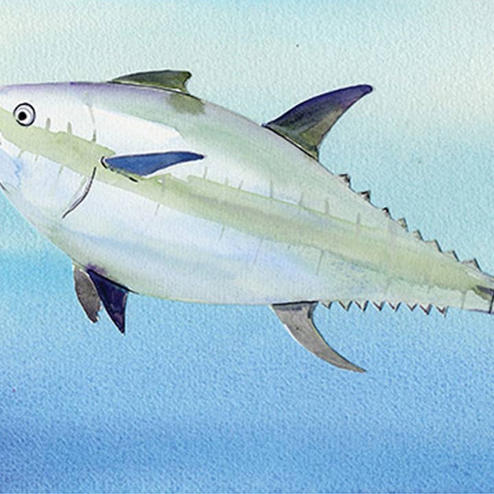 Tuna Print for wholesale by Liz Lind Editions