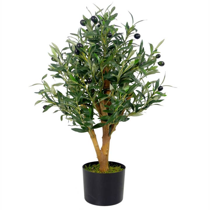 Leaf Design UK LTD - Vendita all'ingrosso Piante artificiali - Ulivo artificiale, vaso in plastica nera, 65 cm, colore: oliva di lusso