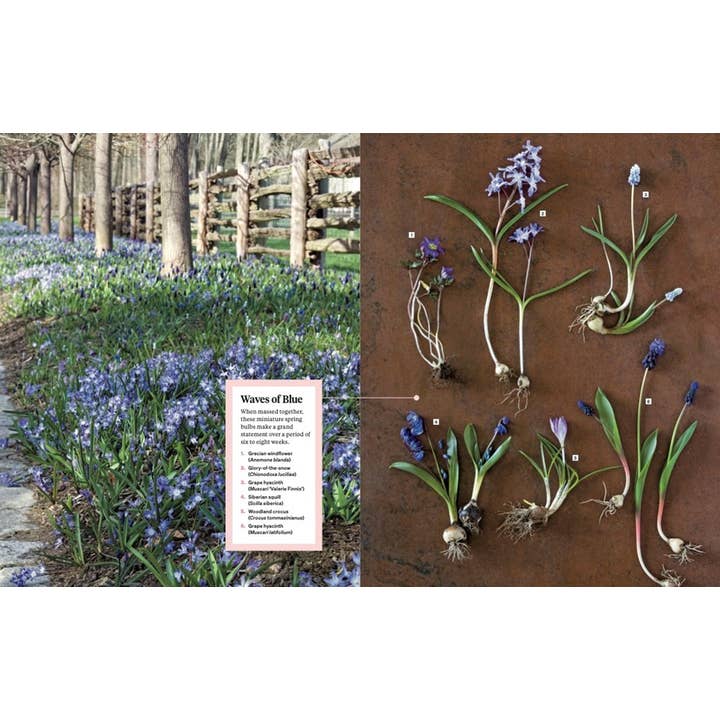 HarperCollins - Wholesale Book - Adult - Martha Stewart's Gardening Handbook: Martha Stewart