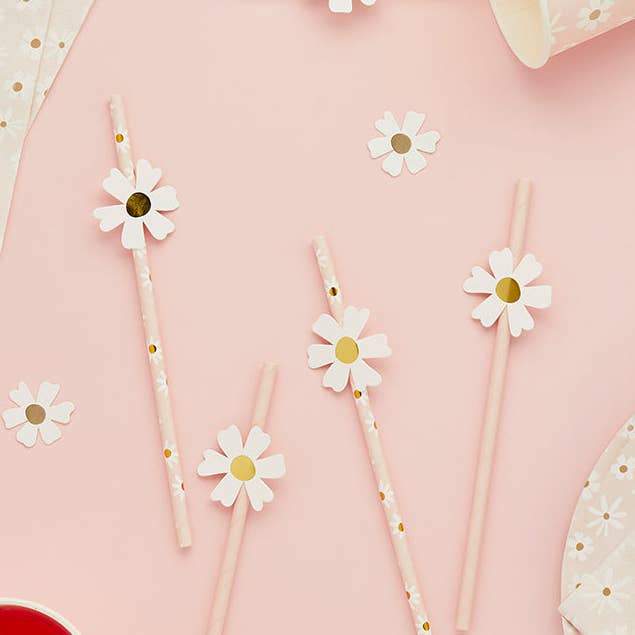 Hootyballoo by Club Green – Großhandel Trinkhalm – Papierstrohhalme Gänseblümchen, 16er-Pack1