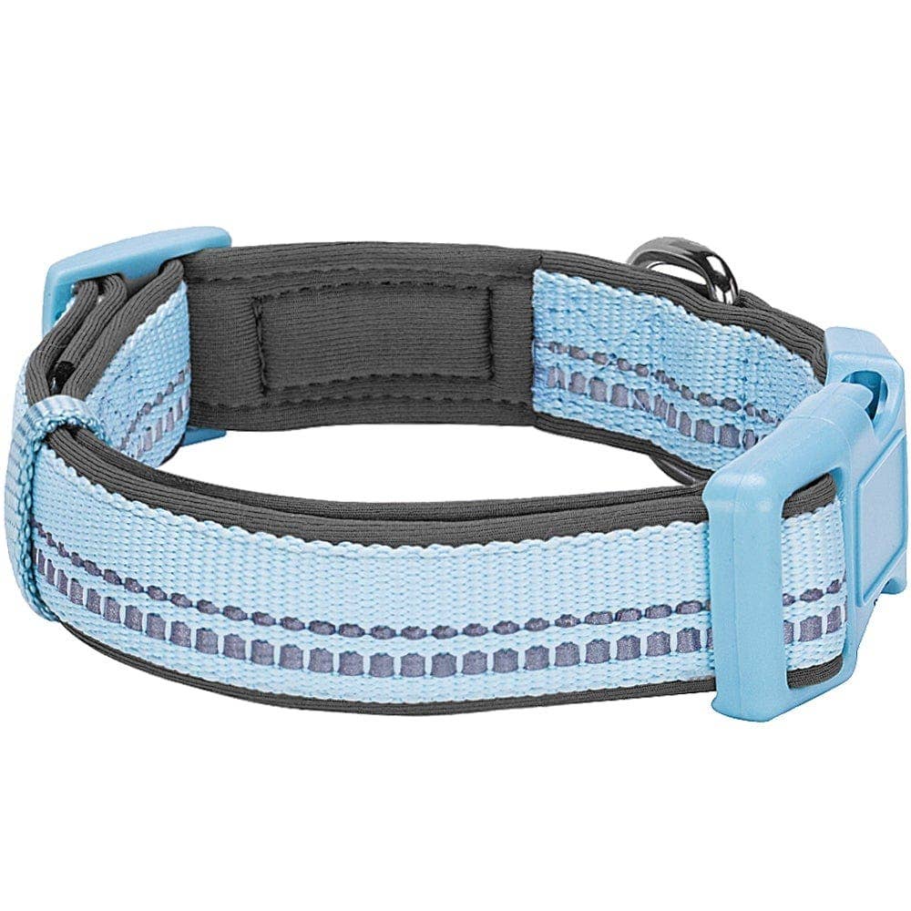 Blueberry Pet - Vente Collier – chien - Collier de sécurité rembourré en néoprène souple réfléchissant 3M47