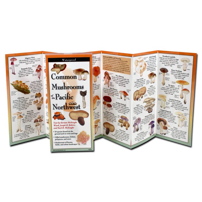 Earth Sky + Water - Wholesale Nature & Outdoors - Common Mushrooms of the Pacific Northwest1