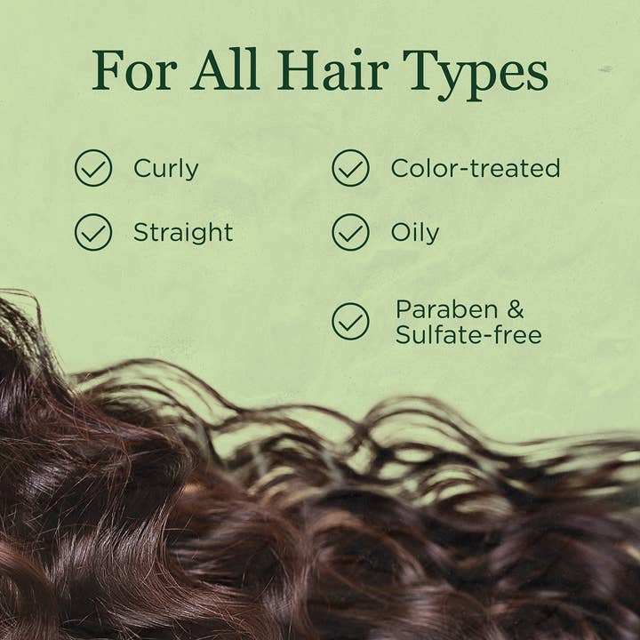 Saragan - Wholesale Hair Shampoo - Saragan Activated Charcoal Detox Shampoo Hair Care (16 oz)