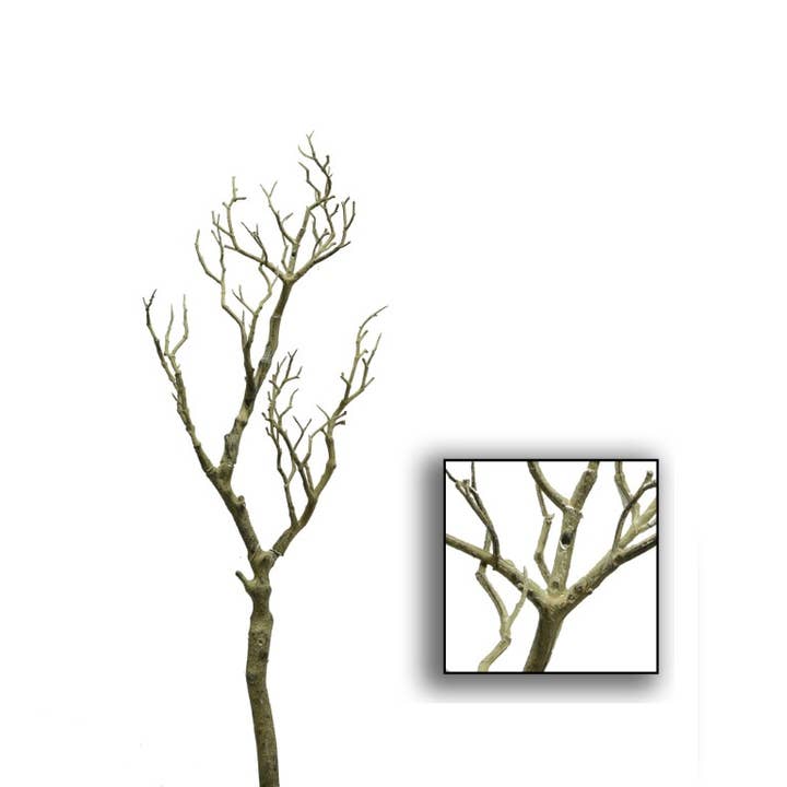 Ramo Marrone CM0,5xh66x0,5 per la vendita all'ingrosso da parte di Vacchetti