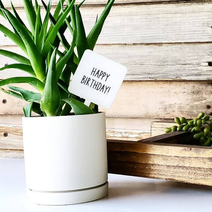 Mad River - Wholesale Garden/Lawn Stake - Snarky Plant Marker Stake - Happy Birthday