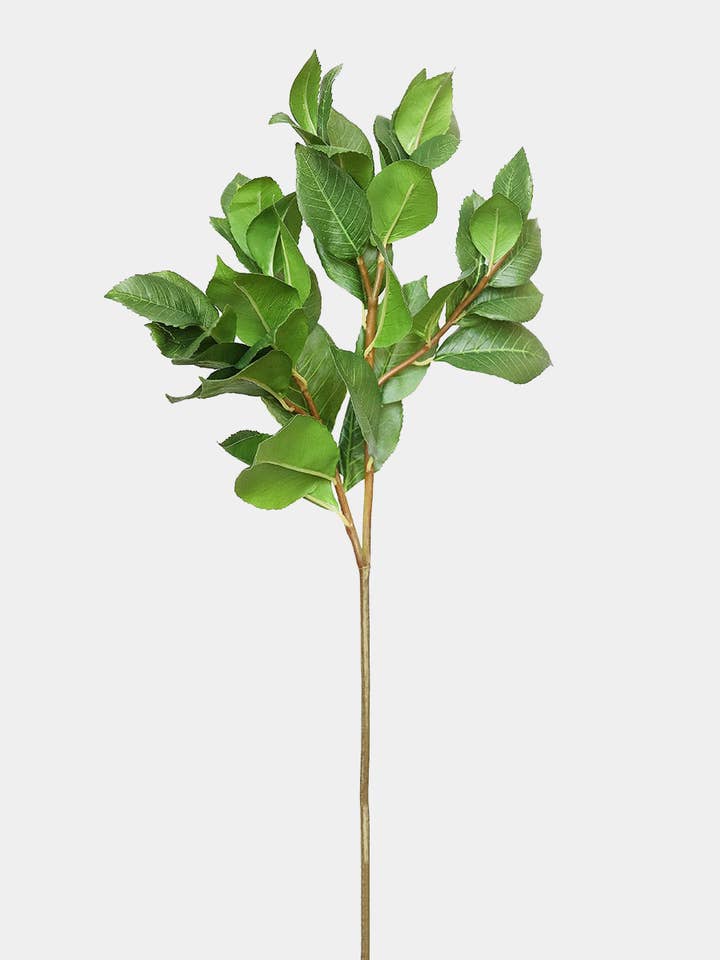 Artificial Camellia Leaves 22.5" for wholesale by Prestige Botanicals