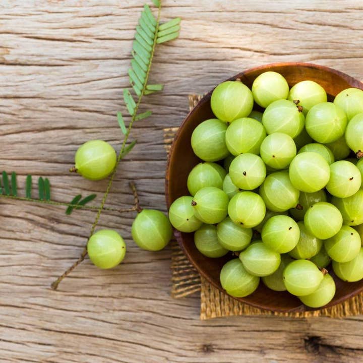 Sewanti Ayurvedic Series - Wholesale Herbs - Organic Amla (Amalaki) Powder - Emblica Officinalis2