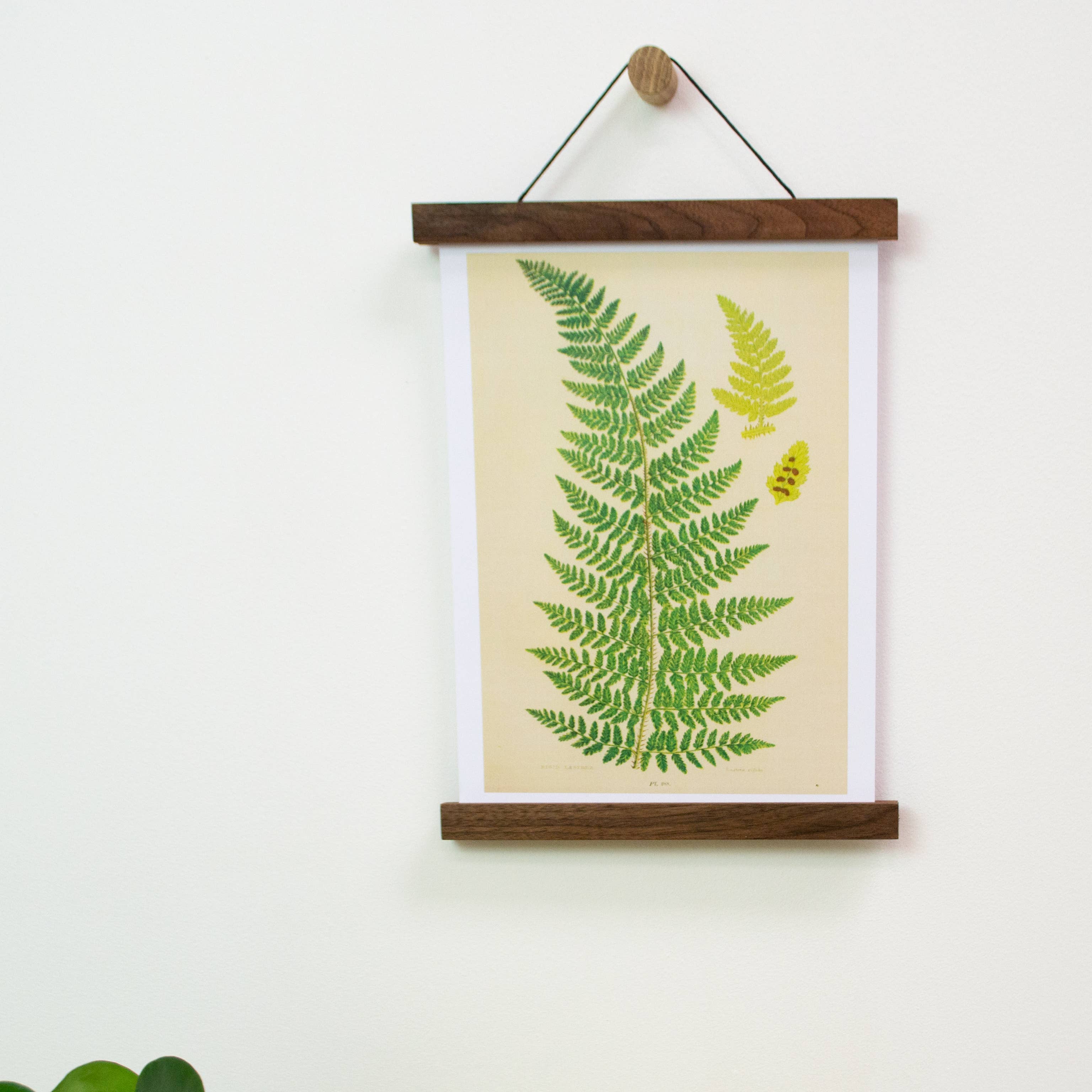 Lelloliving – wholesale Art print – Walnut print wall hanger4