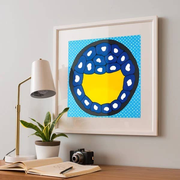 The Blastocoel Print for wholesale by Kella L. Vangsness Art