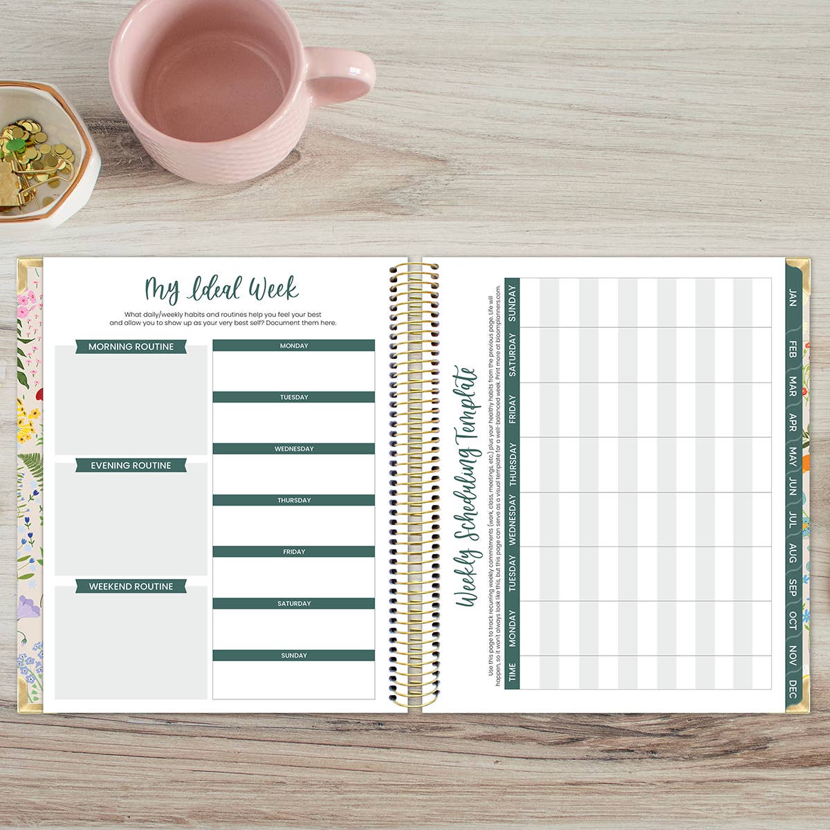 bloom daily planners - Wholesale Planner - 2026 Vision Planner - 7.5"x9" size28