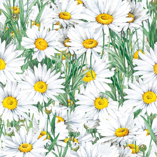 Margherite - 70 x 100 cm per la vendita all'ingrosso da parte di Grafiche Tassotti