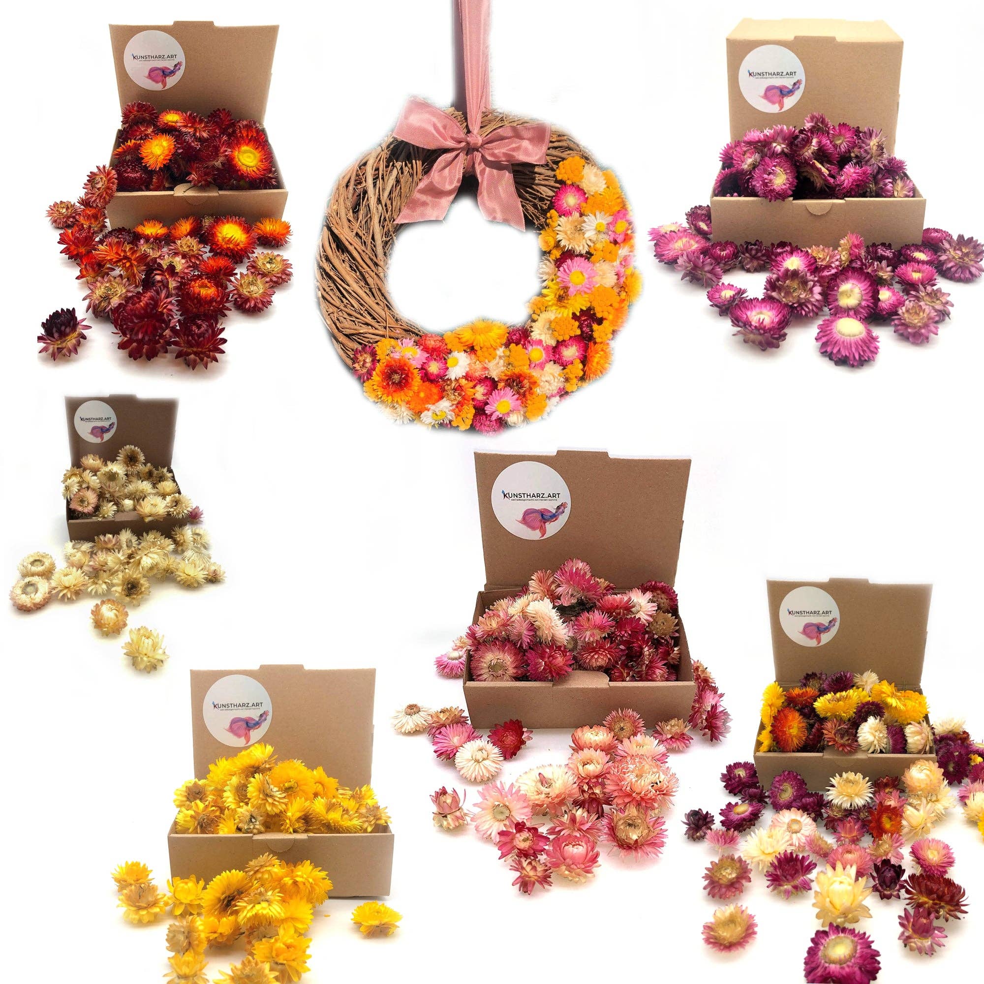 Kunstharz.Art - Vendita all'ingrosso Fiori secchi/pressati - Fiori di paglia essiccati Helichrysum per decorazioni artigianali12