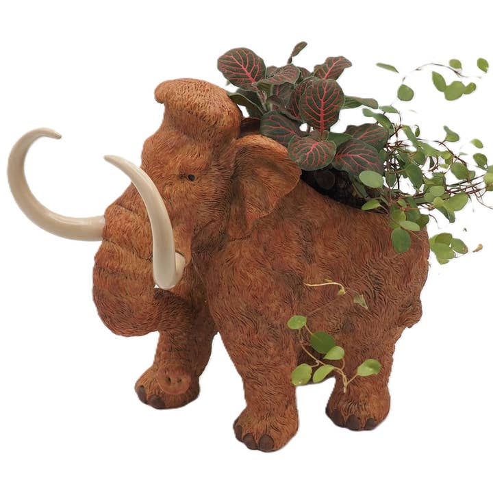 Wooly Mammoth Planter for wholesale by Jardinopia UK