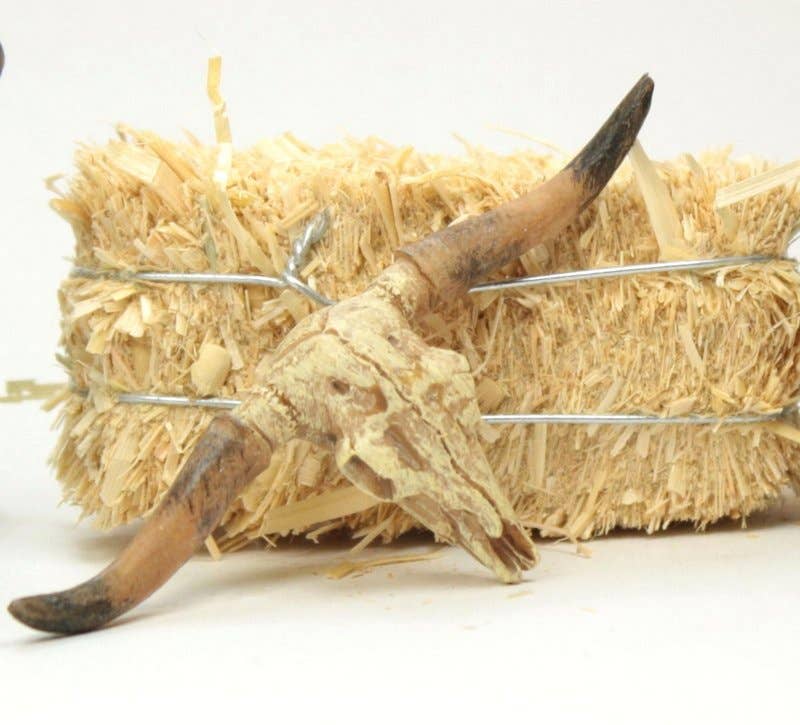 Old West Dry Cattle Skull - #118-1008 for wholesale on Faire3