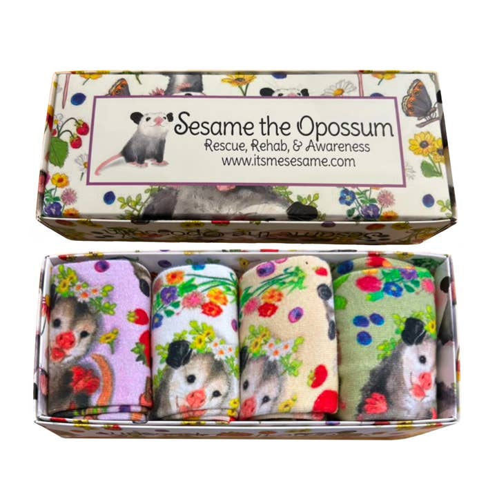 Calcetines Box o', dulces y afrutados para venta al por mayor de Sesame the Opossum
