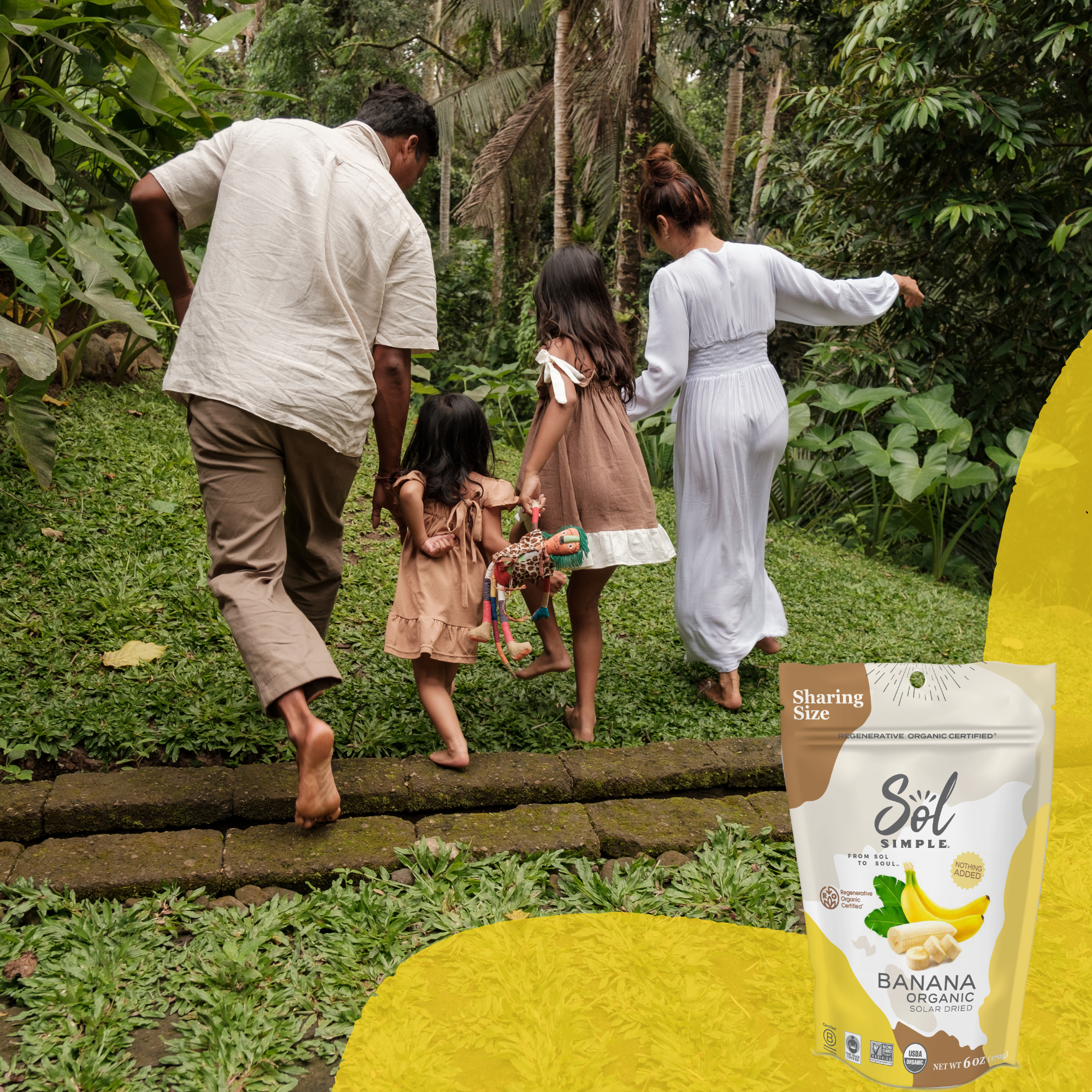 Sol Simple - Wholesale Dried/Dehydrated Fruit - Regenerative Organic Certified Solar Dried Banana - 3oz6