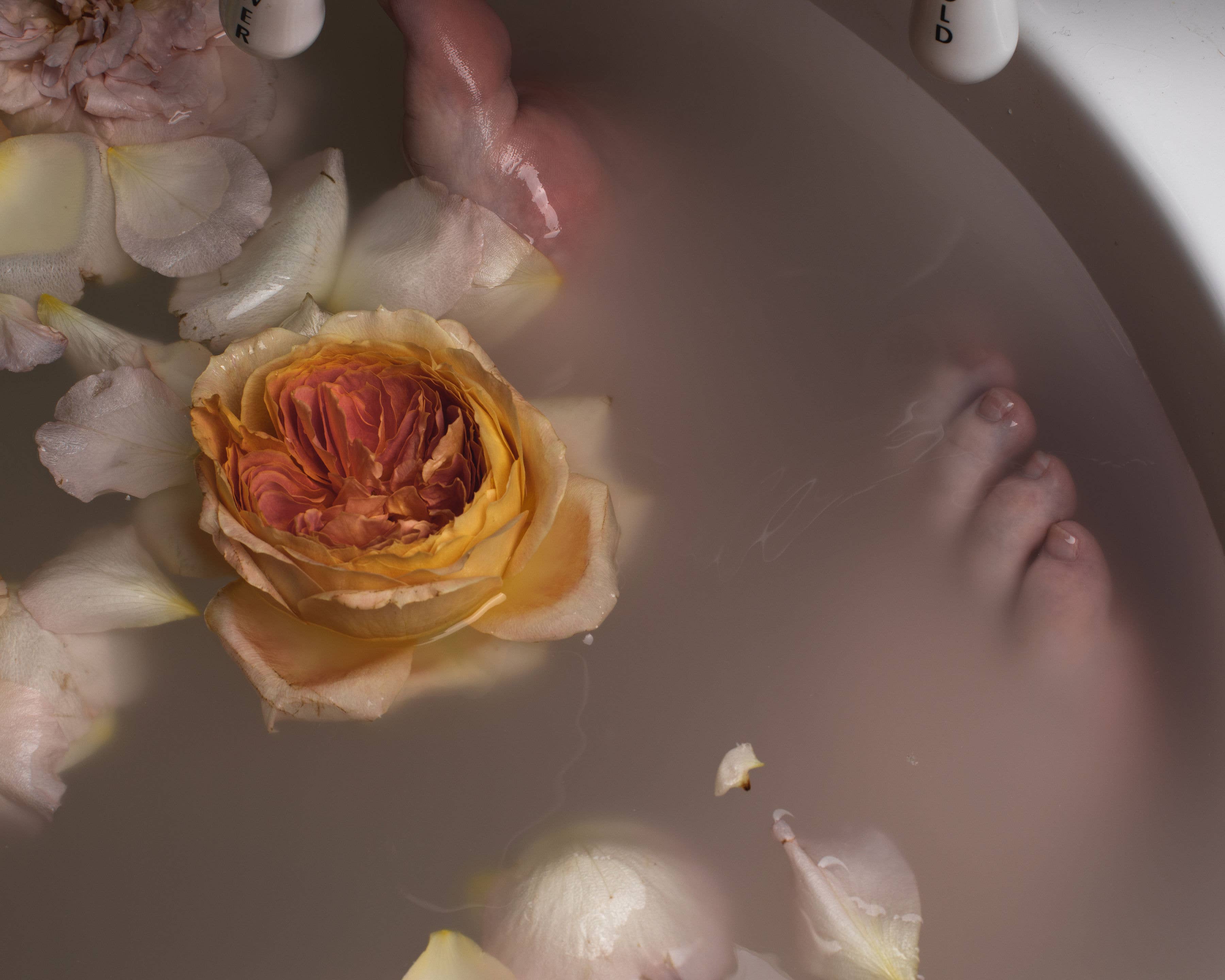 Seagrape Apothecary – wholesale Badsalt och skumbad – TRÄ + RÖK BAD BLÖT3