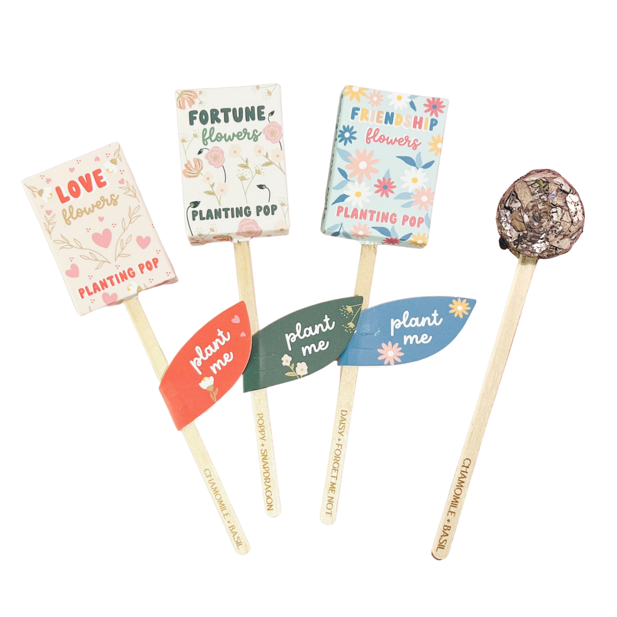 Sow the Magic - Vendita all'ingrosso Semi di piante - Germogli da piantare Friendship Flowers Garden + regalo con semi3