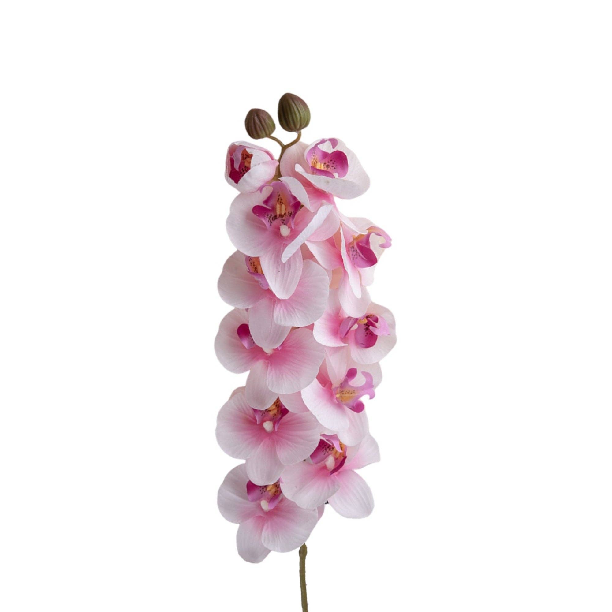 Sun Decorer - Wholesale Artificial flowers - Set of 2 Artificial Phalaenopsis Orchid Stems, 28 inches6