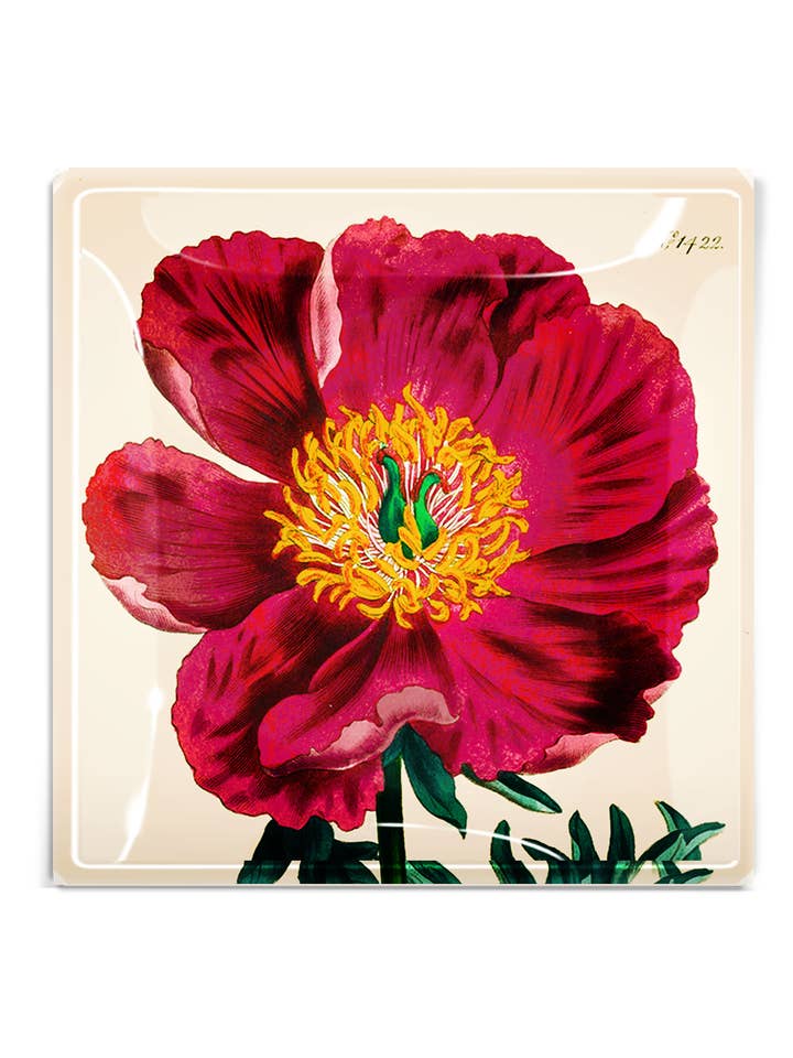 Tabuleiro decoupage Japonês Crimson por atacado de Ben's Garden