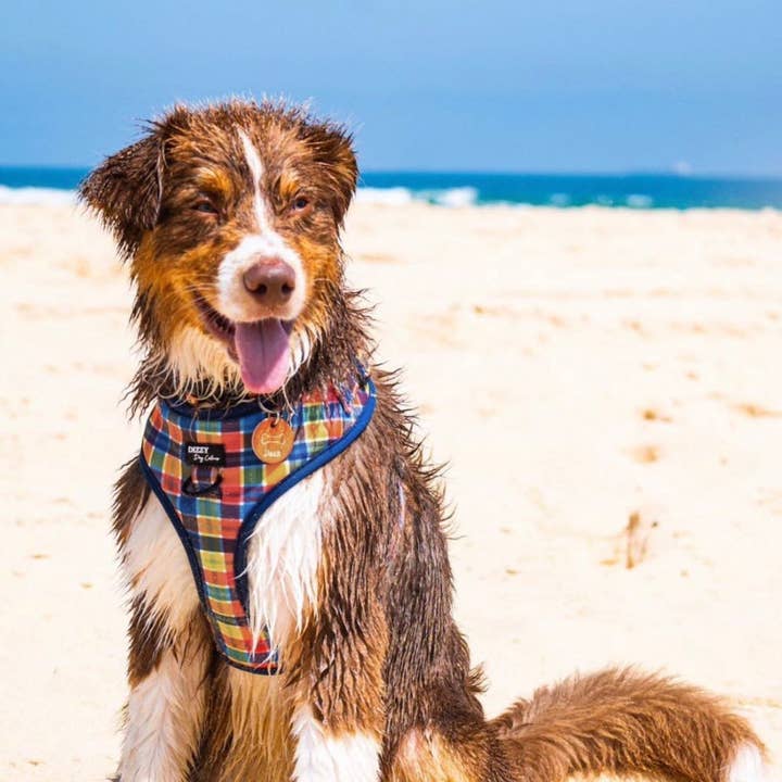 Dizzy Dog Collars - Wholesale Pet Harness - Dog - DOG HARNESS | Country Plaid | Neck Adjustable Dog Harness | Canvas & Neoprene2