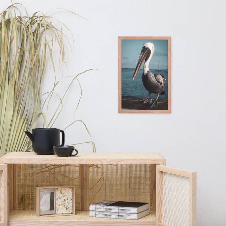 Pipa Wall Art & Home Decor - Wholesale Art print - Bob The Pelican 2 Colorized Wildlife Photo Framed Wall Art9