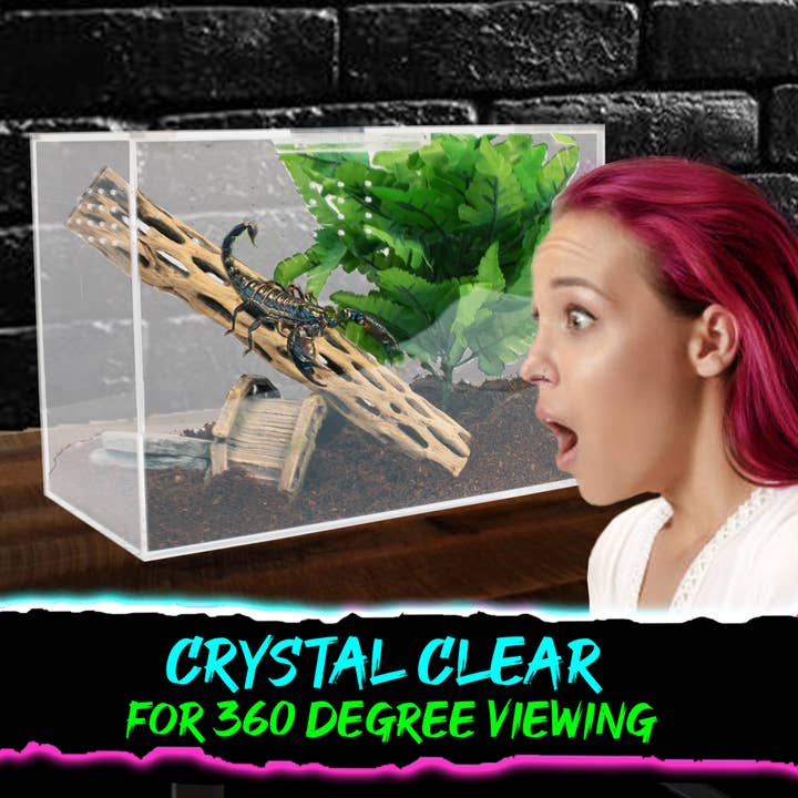 Authentic JOY – wholesale Pet toy – Not cat/dog – Acrylic Tarantula Enclosure 7"x10"x14"