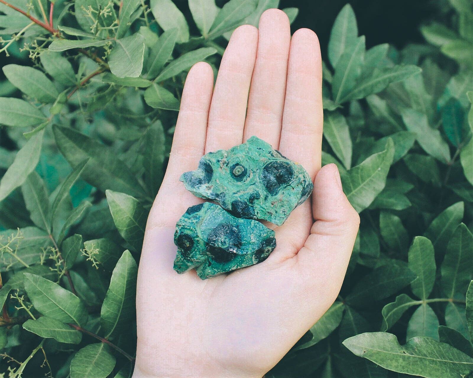 mineralyte – wholesale Spiritual stone/crystal – Crocodile Jasper Crystal Chunk1