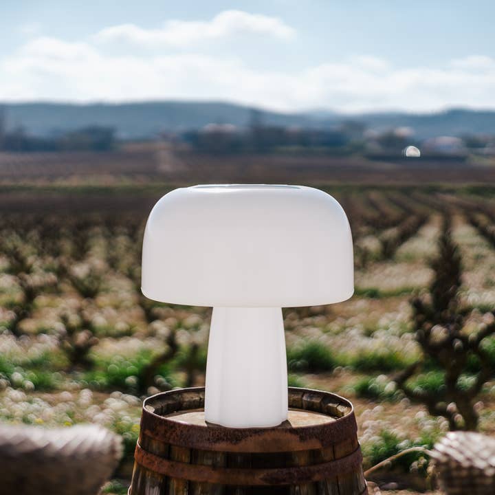 Goodnight Light - Wholesale Accent/Desk Lamp - The Boleti Lamp - Solar powered, portable lamp8