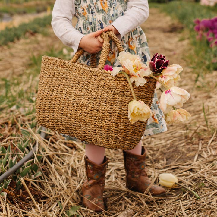 Panier de collecte ovale, récolte, trois tailles pour la vente par Will & Atlas