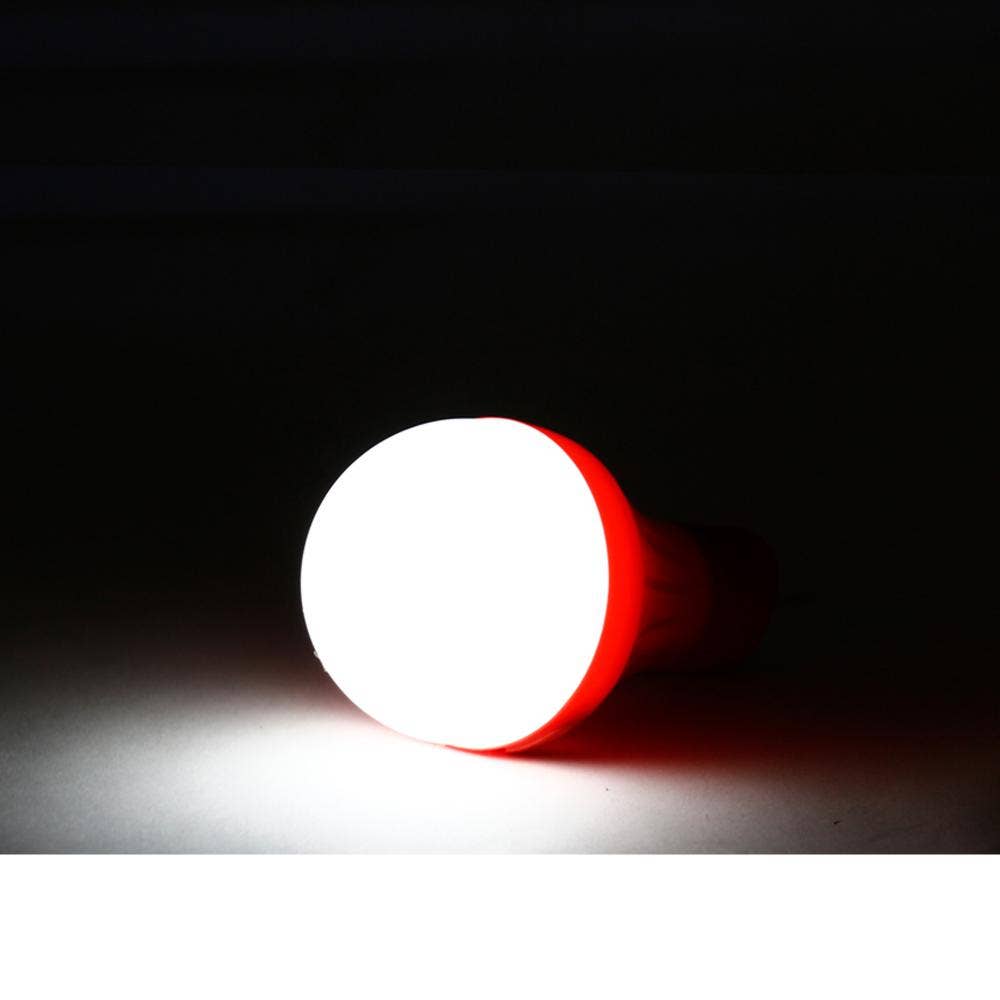 Helio Ferretti - Wholesale Flashlight - MAGNET LIGHT BULB LED HF2