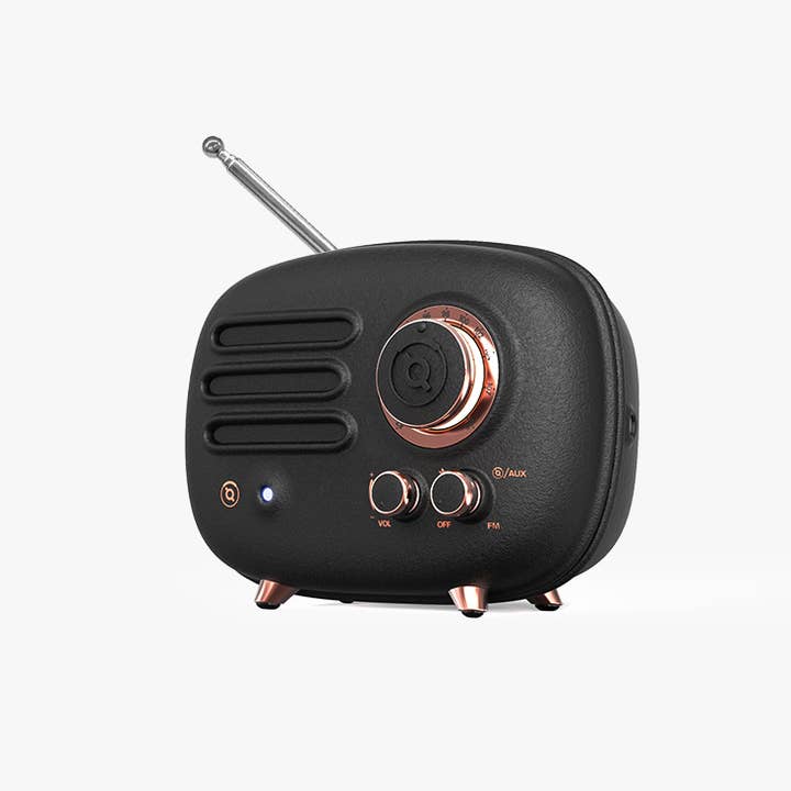 MUZEN Knight Black Portable FM Radio & Bluetooth Speaker for wholesale on Faire