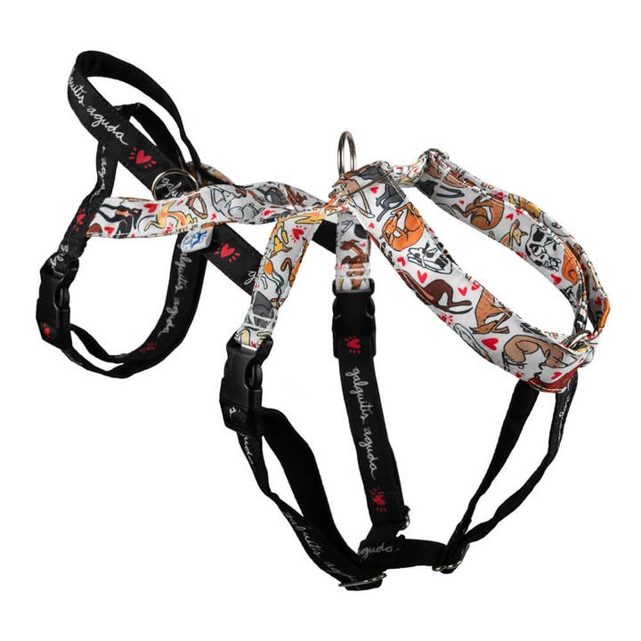 Anti-escape sele XY Galguitis Acuda för wholesale av El galgo azul