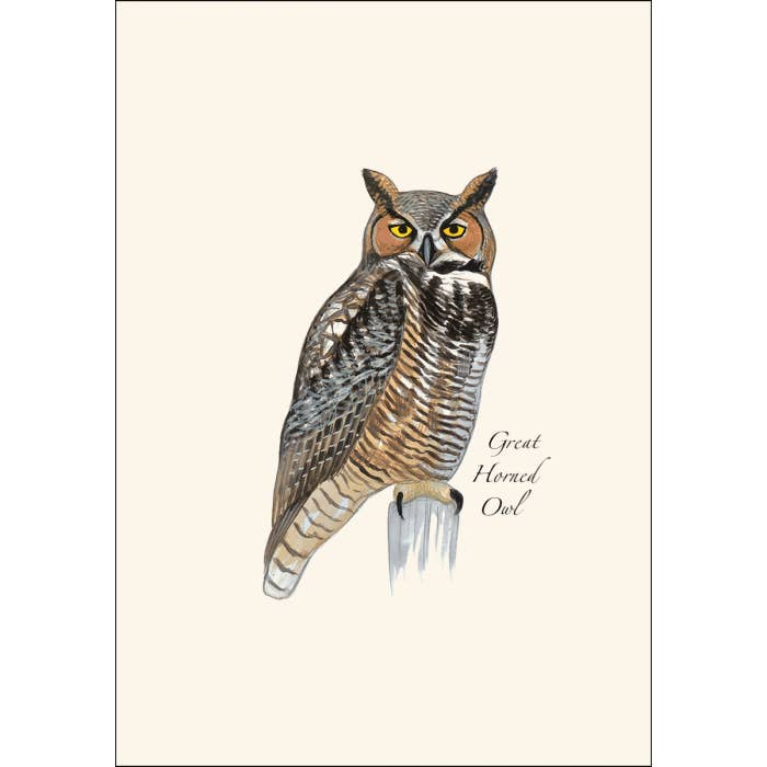 Earth Sky + Water - Wholesale Stationery/Notecard Set - Sibley Owl Assortment2